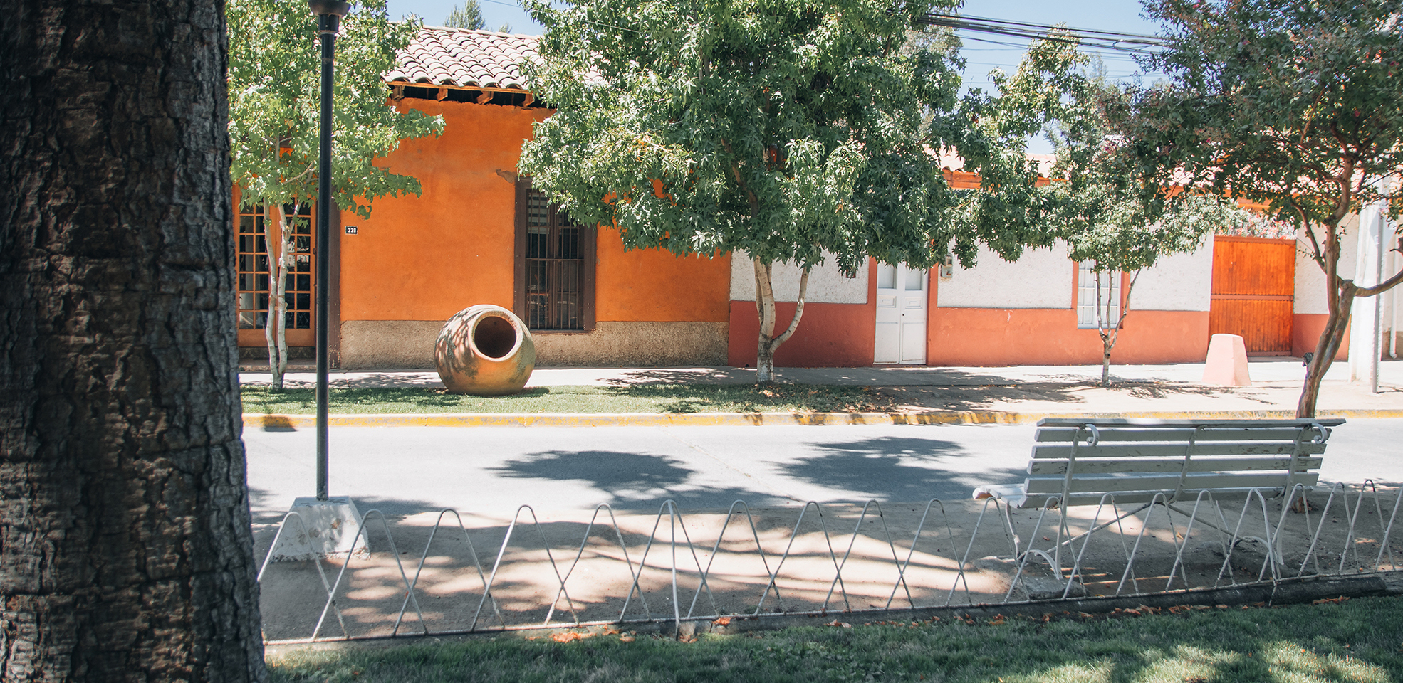 Agrupaciones de turismo rural buscan poner en valor la vida rural en los campos de O'Higgins