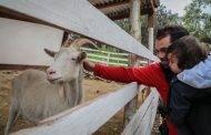 Más de mil niños de Graneros disfrutaron de Granja Educativa en vacaciones de invierno