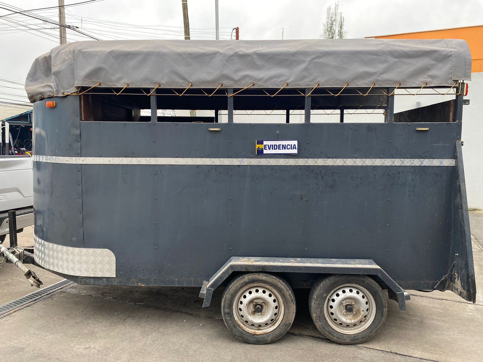 PDI Recuperó en Graneros carro para transporte de caballos robado en Coltauco