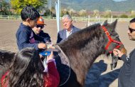 Fundación Equinoterapia de San Fernando inaugura invernadero hidropónico