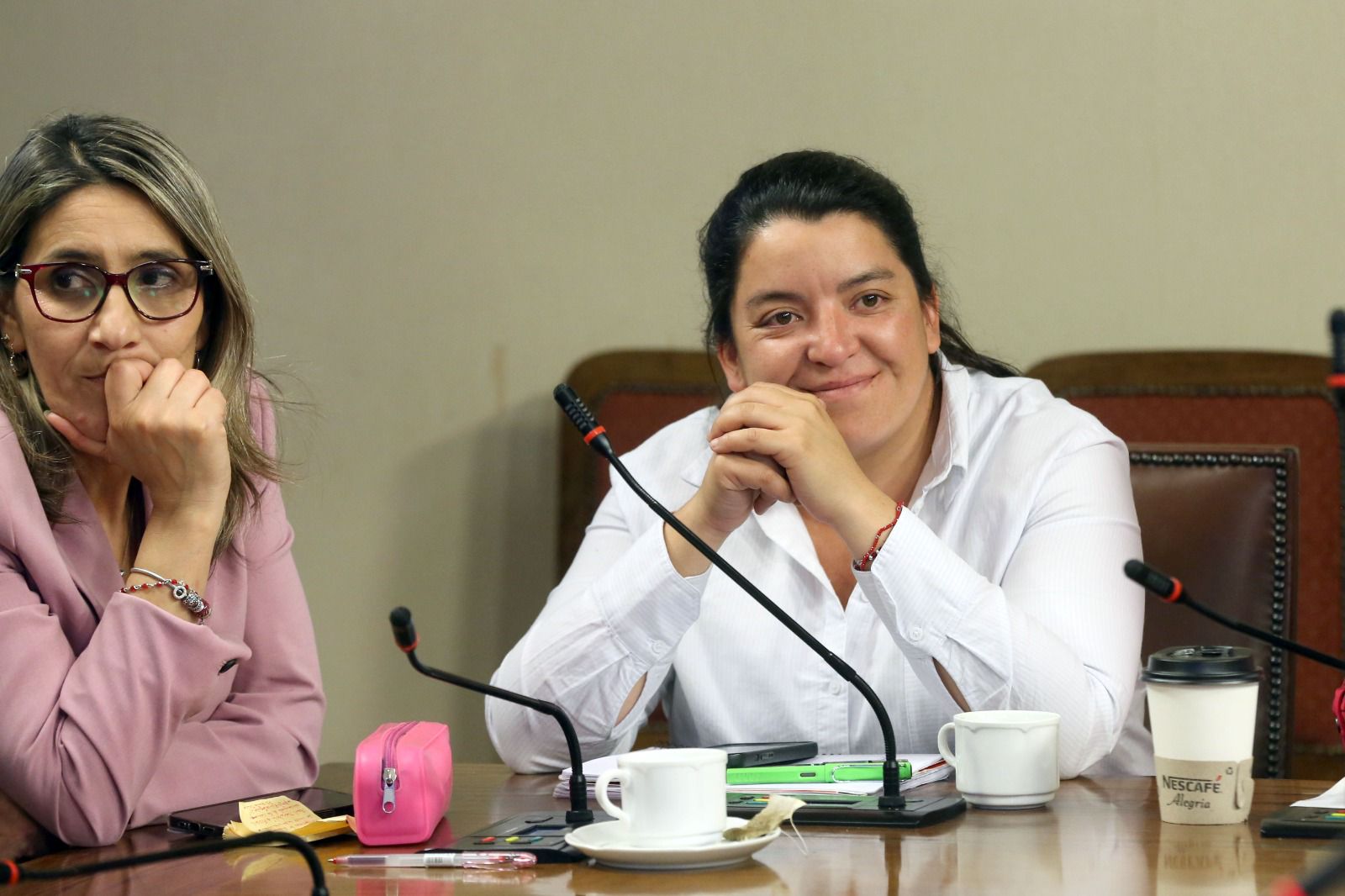 Presupuesto 2025: Cámara aprueba indicación de la diputada Natalia Romero para eximir del pago de contribuciones a adultos mayores que reciben la PGU